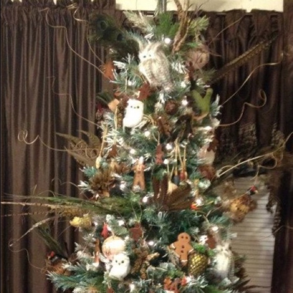 Meet your Posher, Christy